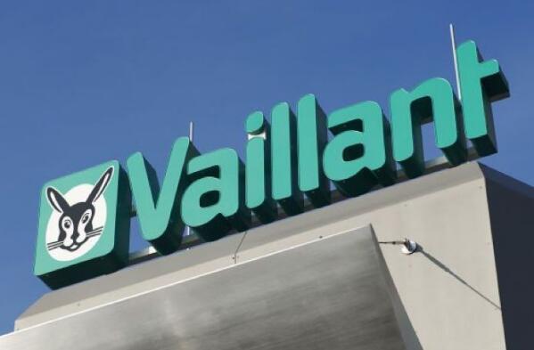 1551670972720529.jpg 1.jpg