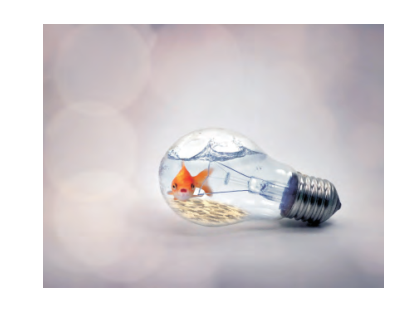 1567147122263246.png QQ截圖20190830143835.png