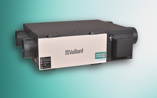 1589263042771708.jpg 01.jpg