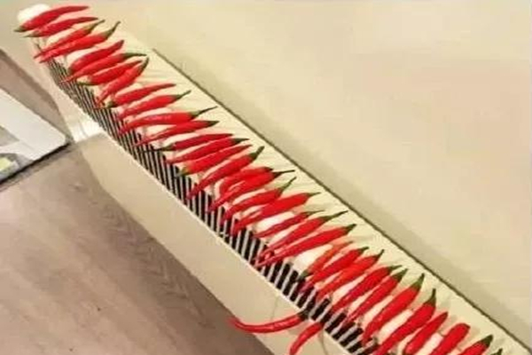 1605323744272844.jpg 微信圖片_20201114105427.jpg