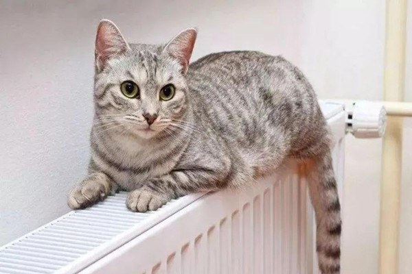 1606716810421049.jpg 微信圖片_20201127103215.jpg