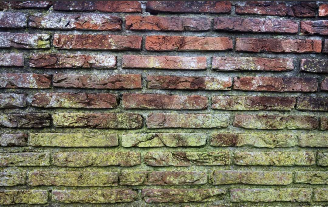 1669445855586790.jpg 1669445855586790.jpg