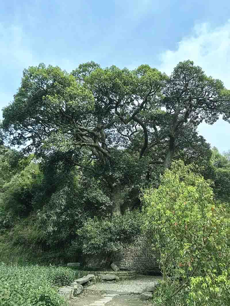 1712042372503662.jpg 1712042372503662.jpg