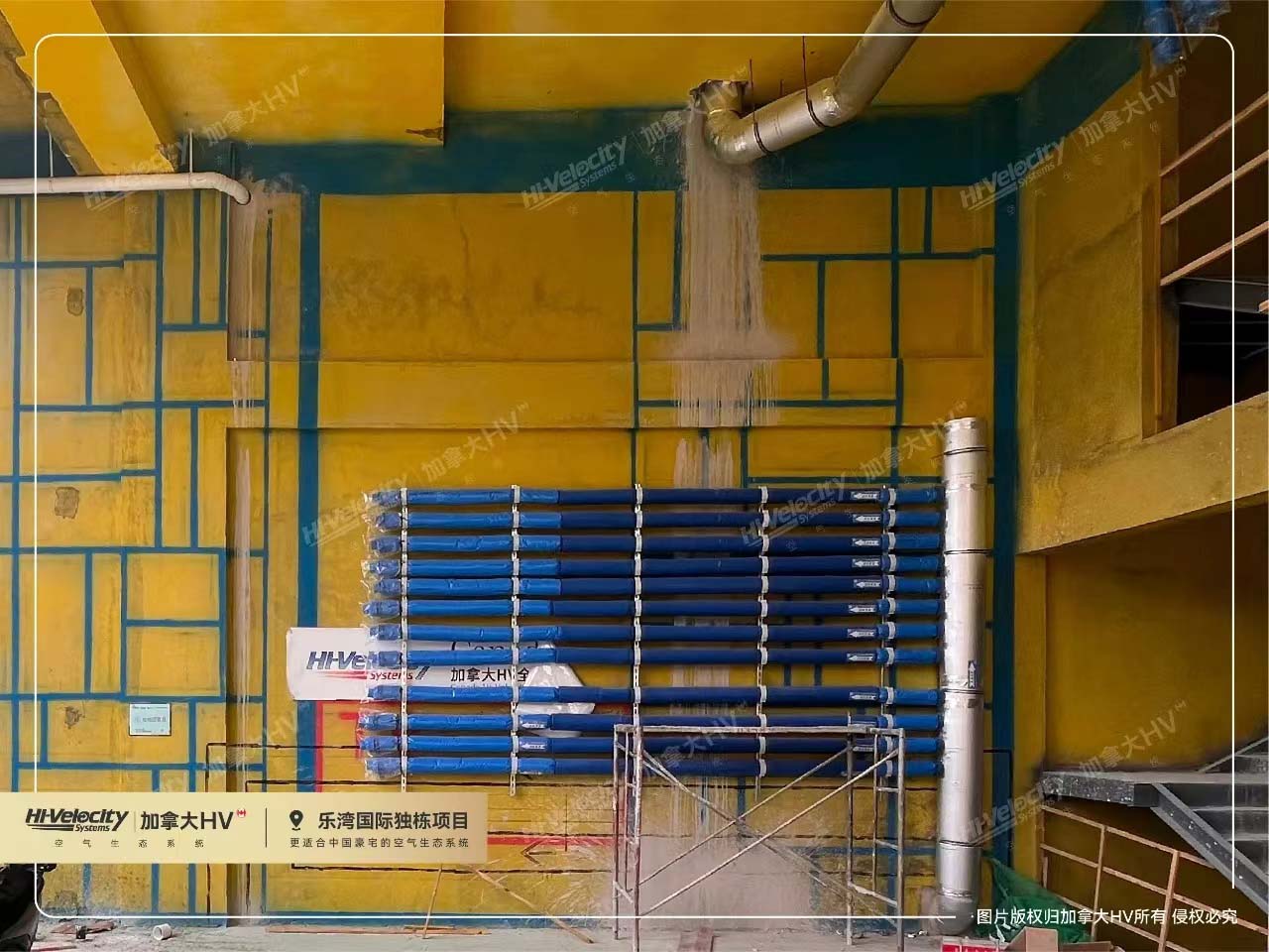 加拿大HV1 加拿大HV1