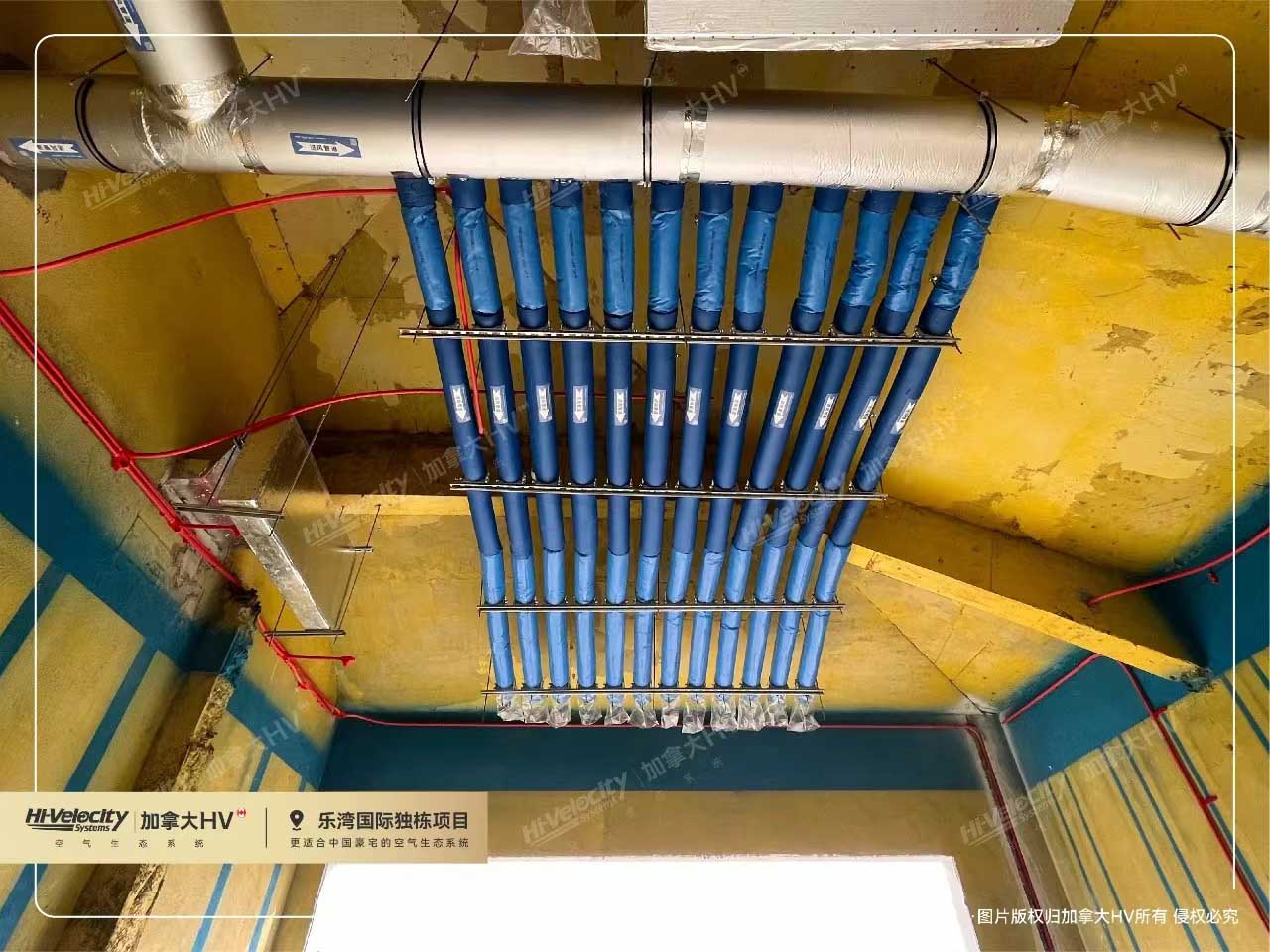 加拿大HV5 加拿大HV5