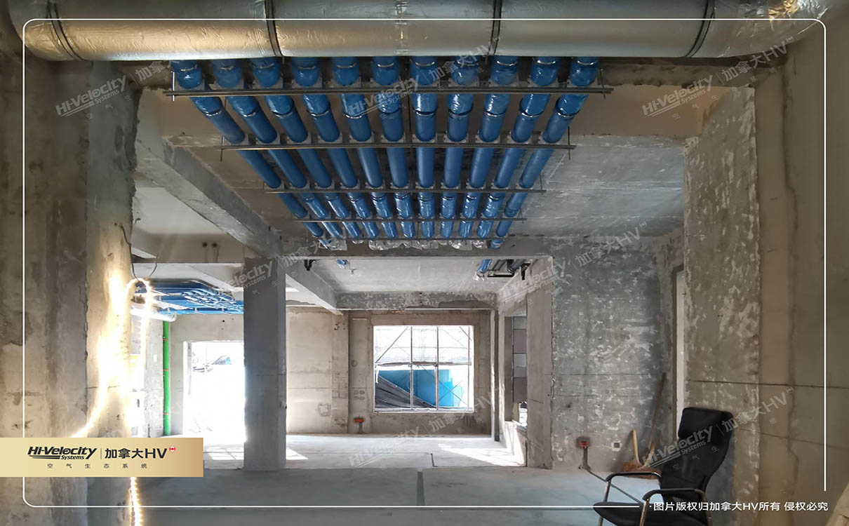 加拿大HV 加拿大HV