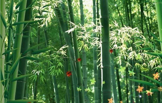 大自然沁人心脾的新鮮空氣,在家也能呼吸到